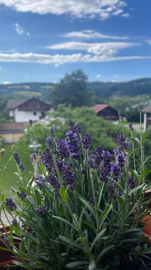 Ferienwohnung Alpseeliebe Immenstadt im Allgäu Eksteriør bilde